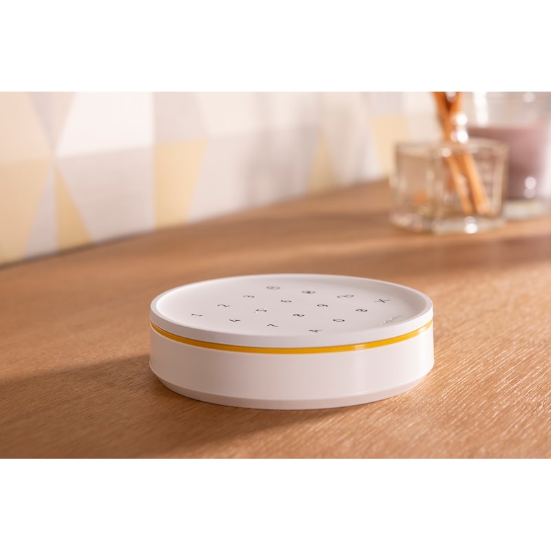 Home Alarm Advanced - Pack Integral Video+ - SHAA-IVPLUS-G - 4 - Somfy