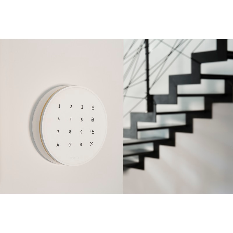 Home Alarm Advanced - Pack Integral Video+ - SHAA-IVPLUS-G - 2 - Somfy