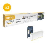 Lot de 2 motorisation radio io RMS 1700 pour volet roulant avec TaHoma® switch