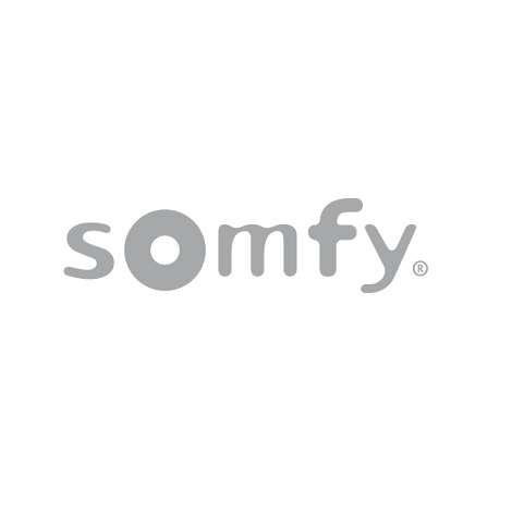 Lot de trois télécommandes Somfy Protect