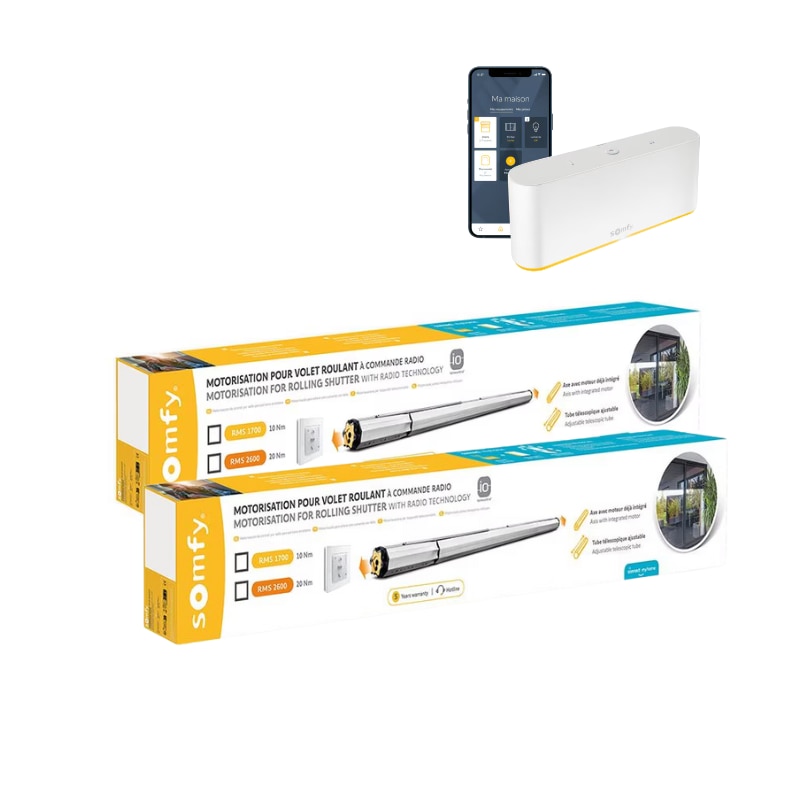 Image Lot de 2 motorisations radio io RMS 1700 + TaHoma® switch